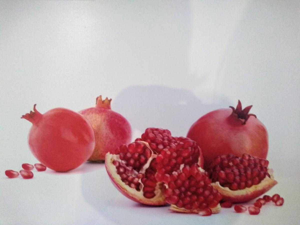 Oase Der Geborgenheit Daire Venningen Dış mekan fotoğraf